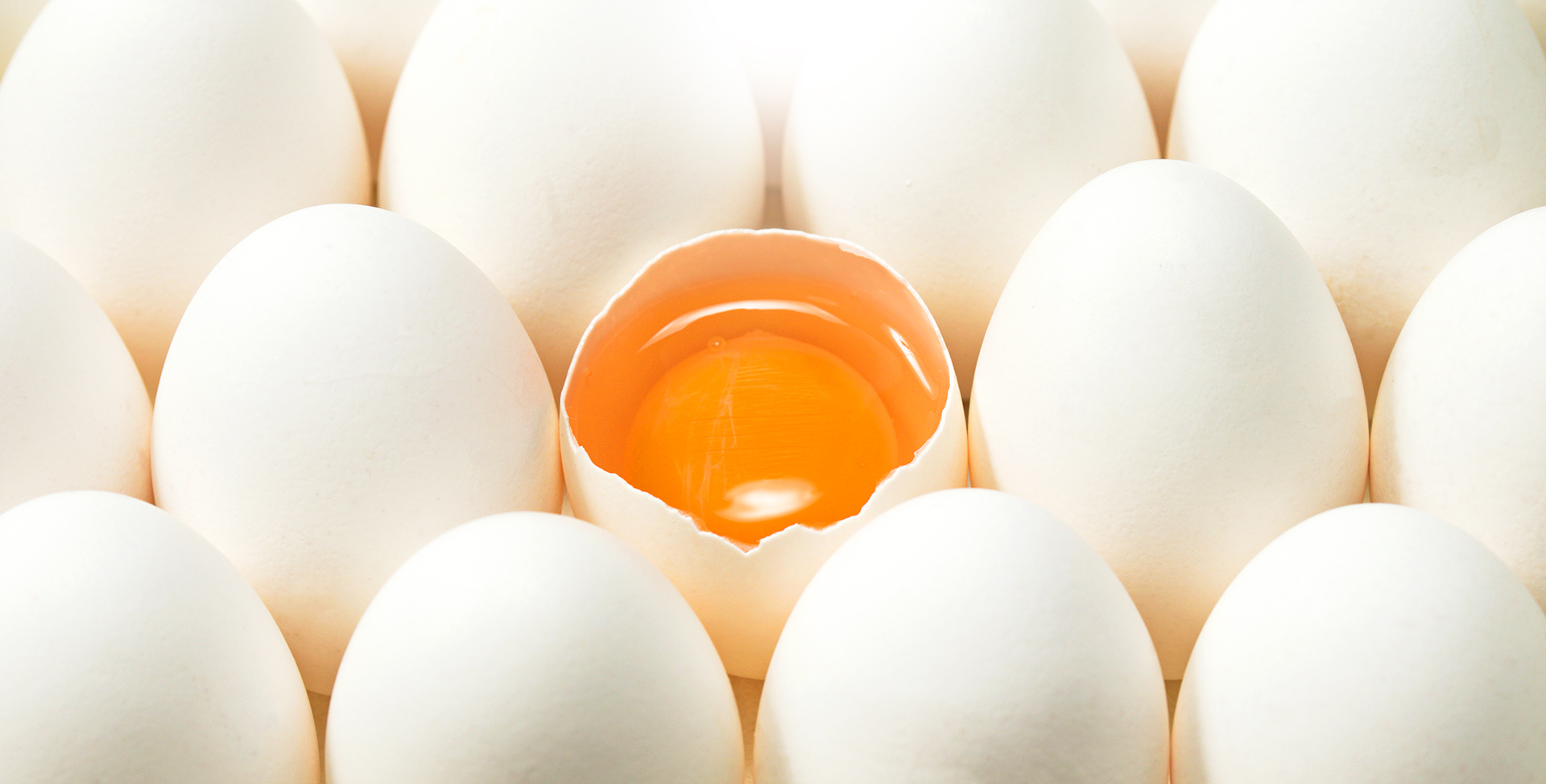 有限会社向陽食品