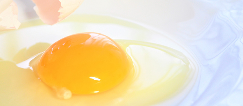 有限会社向陽食品は oeuf(ウフ)コンソーシアム に参加しています