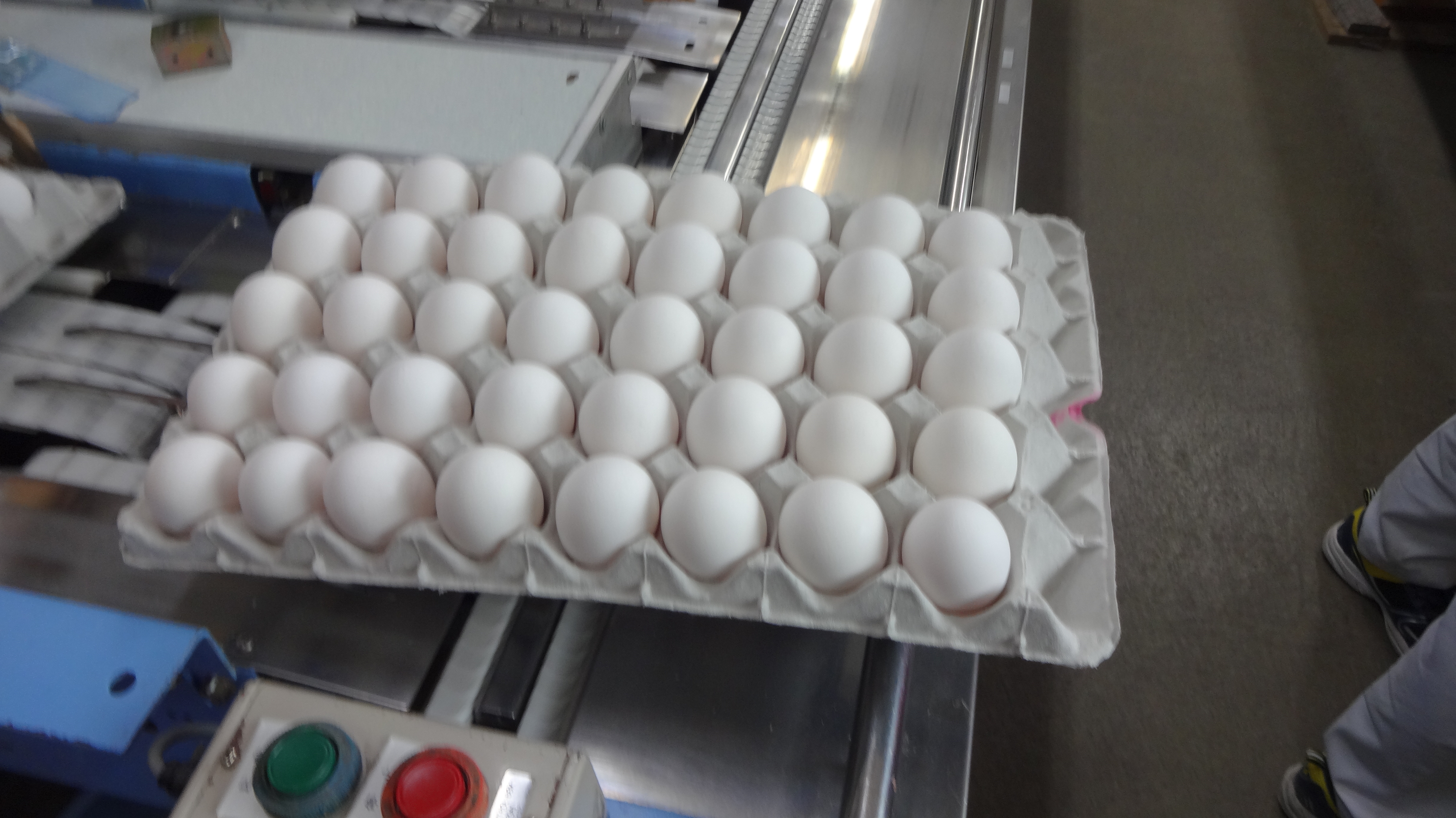 oeufブランドとは